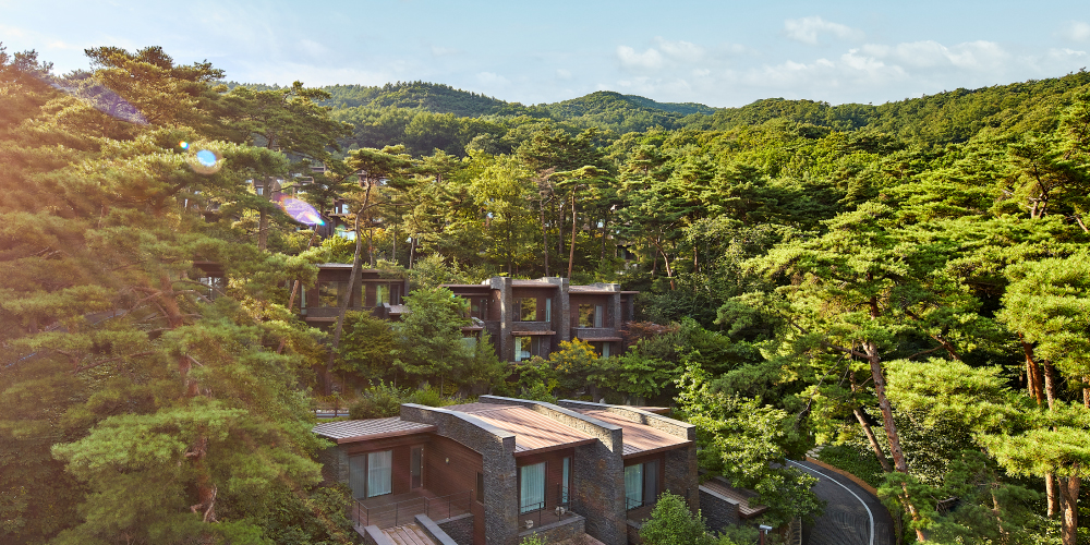 forest패키지 이미지